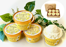 画像をギャラリービューアに読み込む, 奥伊勢ゆずのアイスケーキ 6個セット